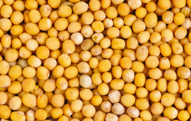 Mustard seeds  as food background