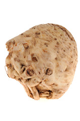 Céleri