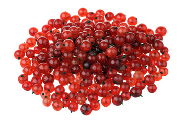 Redcurrant