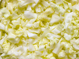 chopped cabbage