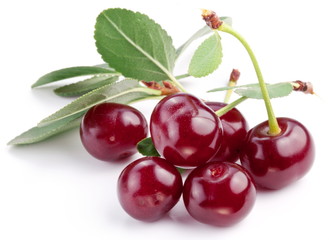 Cherries with leaves on a white background.