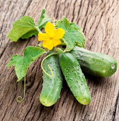 Cucumbers with leaves
