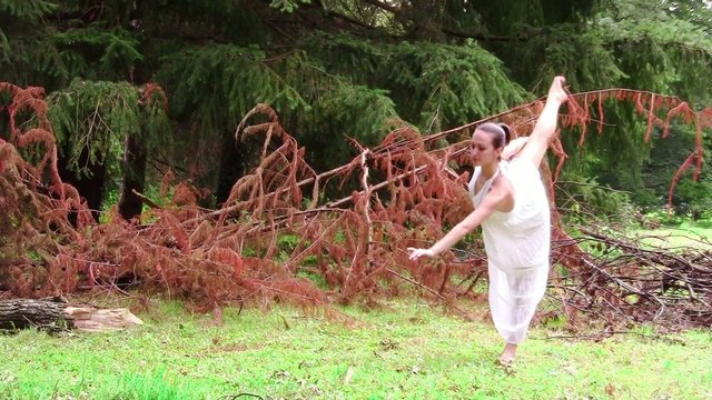 a beautiful ballerina in a forest