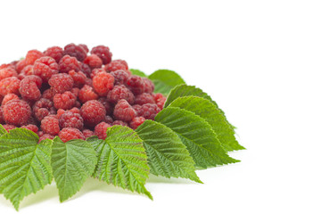 натюрморт из малины на белом фоне