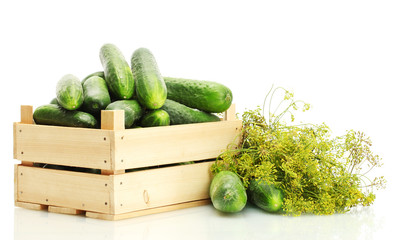 fresh cucumbers in wooden box and dill  isolated on white