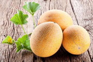 Three melon with the leaves