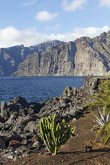 Teneriffa 2010