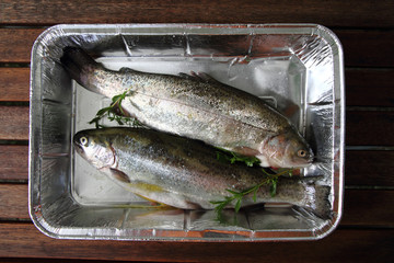 raw trout fish