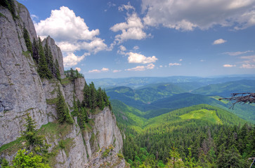Rocks and the forest