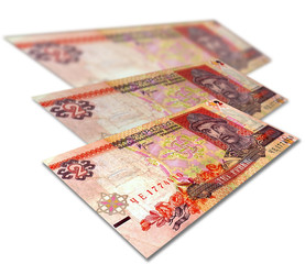 Ukrainian money on white background