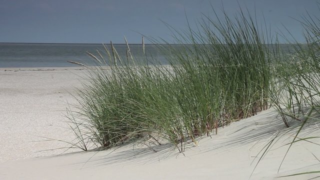 Strand - 001 - Duenengras