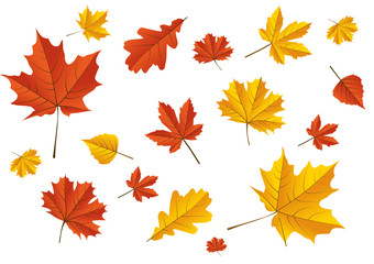 Obraz premium Herbstblätter