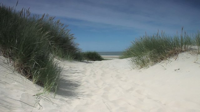 Strand - 002 - Duenengras