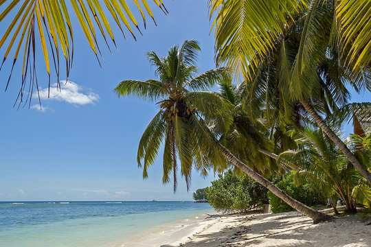 La Digue 0590