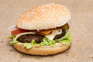 Cheese Burger on rustic background