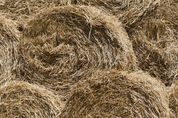 Background of straw
