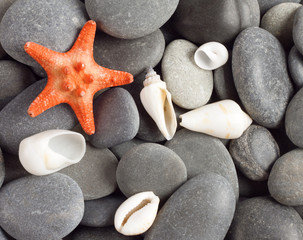 Fototapeta na wymiar Orange five-pointed starfish