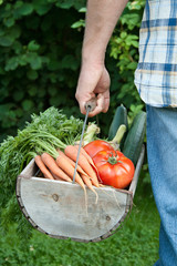 vegetable basket