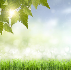 Obraz premium Spring or summer heat abstract