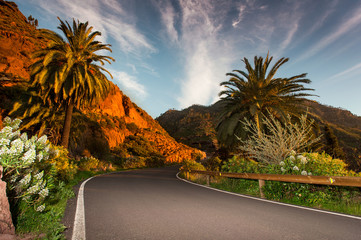 Gran Canaria Road - obrazy, fototapety, plakaty
