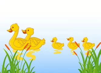 Foto auf Acrylglas Entenfamilie am See © sunlight789
