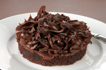 Gourmet chocolate brownie