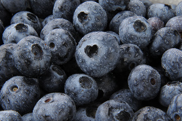 Blueberry Background