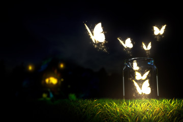 Butterflies - 43635909