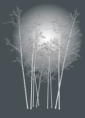 bamboo illustration on grey background