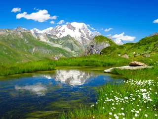 Foto op Plexiglas Mont Blanc Meer en Mont Blanc