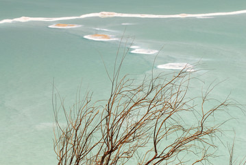 Fototapeta premium Travel Photos of Israel - Dead Sea