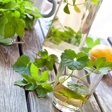 Kr&auml;uter - Limonade - mit Giersch und Gundermann