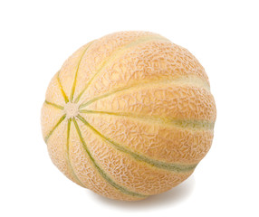 Charentais melon