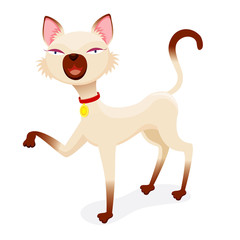 Cat vector isolated on white