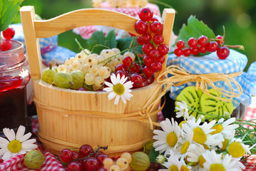 Fototapeta na wymiar summer fruits and preserves in the garden