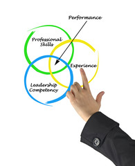 Diagram of performance