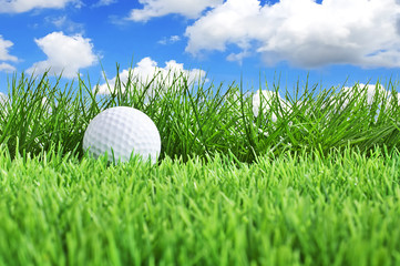 Golfball on the green close to the rough