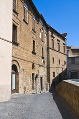 Medici palace. Orvieto. Umbria. Italy.