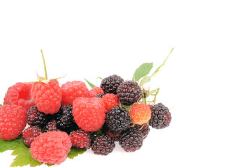 Sweet fresh raspberry fruit with green leaf