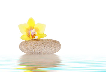 Fototapeta na wymiar Wellnes concept - stone with yellow orchid isolated over white