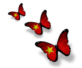 Three Vietnamese flag butterflies, isolated on white