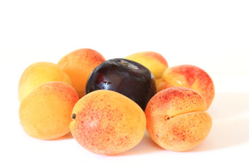 apricots