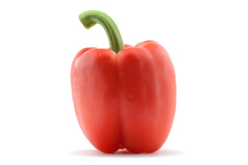 Single bell pepper isolated over white background
