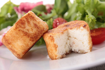 warm goat cheese and salad