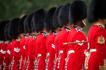 Royal Guardsmen - 43650300