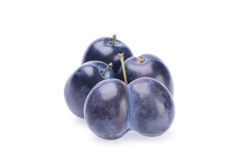 Plum