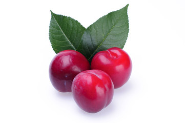 Plum