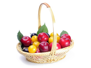 fruits