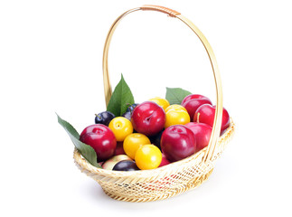 fruits