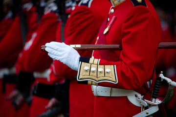 Royal Guardsmen